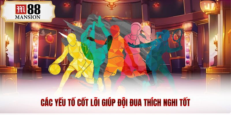 Các yếu tố cốt lõi giúp đội đua thích nghi tốt